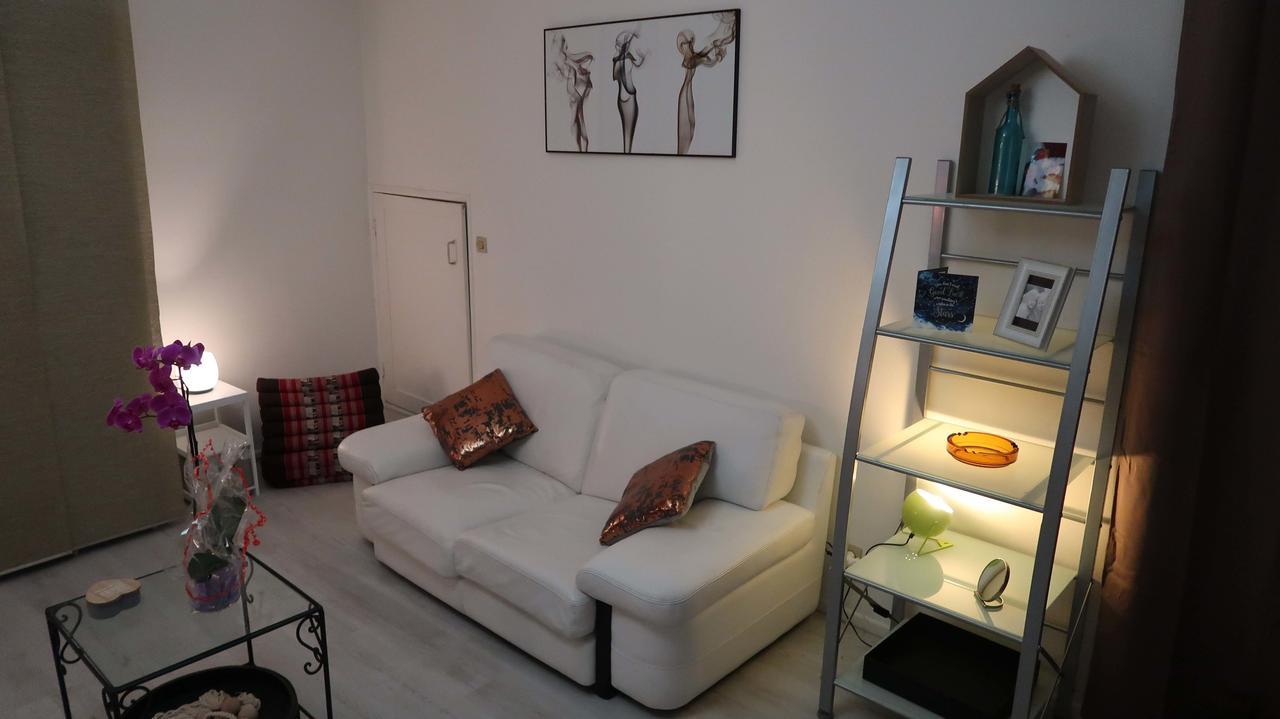 La Cour Victoria - Vosges Place & St Dizier St -27M2 Нанси Екстериор снимка